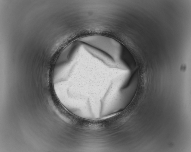 X0000113200638200910011257