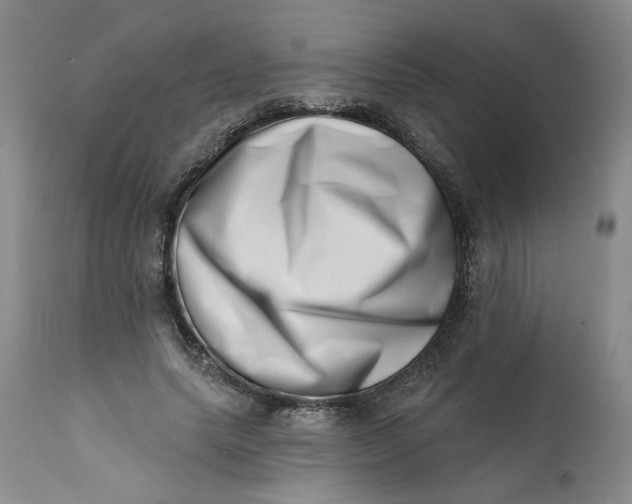 X0000113200639200910011257