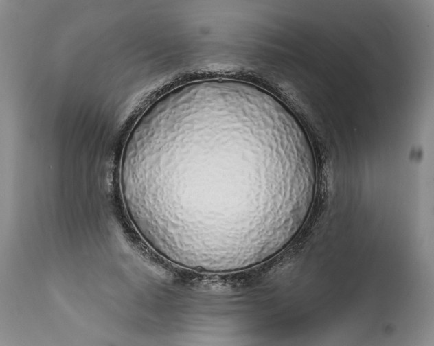 X0000113200640200910011257