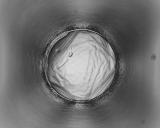 X0000113200641200910011257