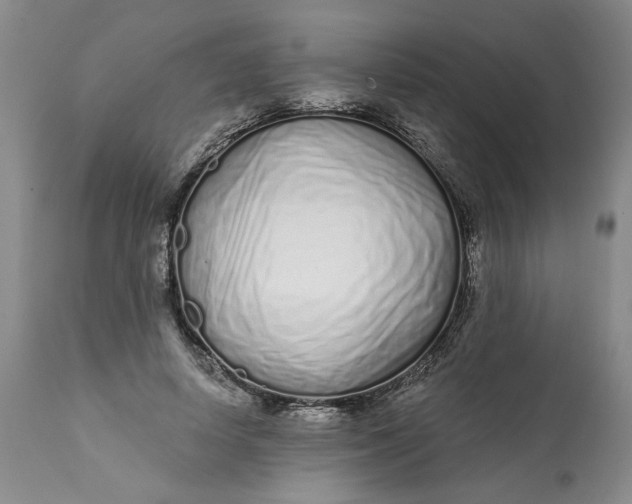 X0000113200642200910011257