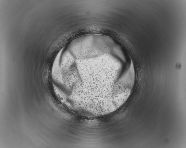 X0000113200645200910011257