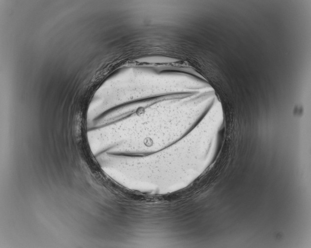 X0000113200646200910011257