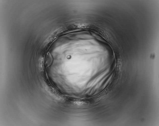 X0000113200650200910011257