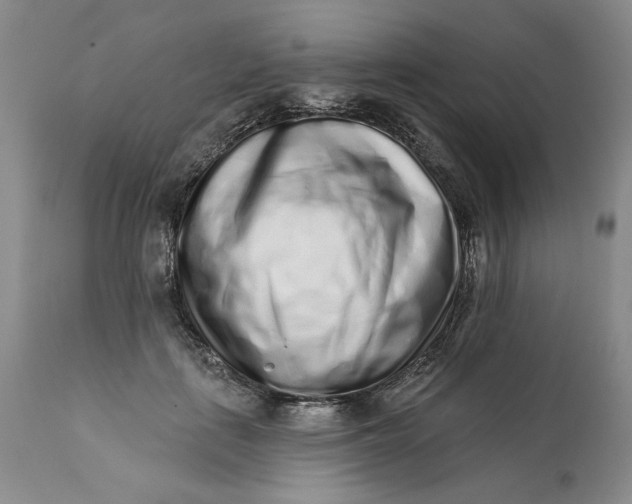 X0000113200651200910011257