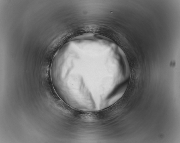 X0000113200652200910011257