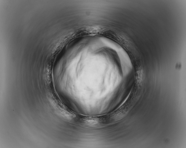 X0000113200653200910011257