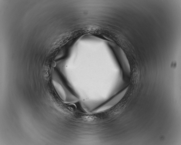 X0000113200654200910011257