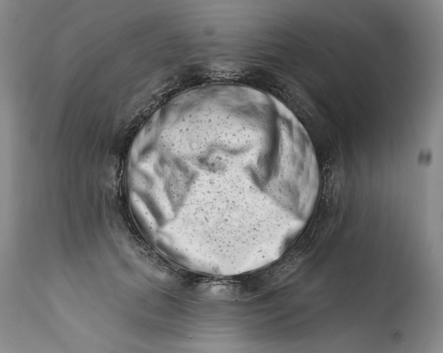 X0000113200655200910011257