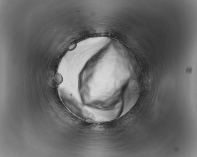 X0000113200656200910011257