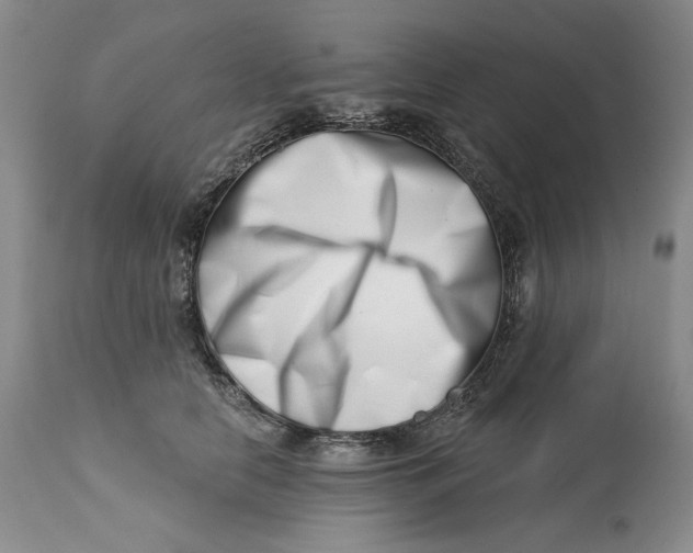 X0000113200658200910011257