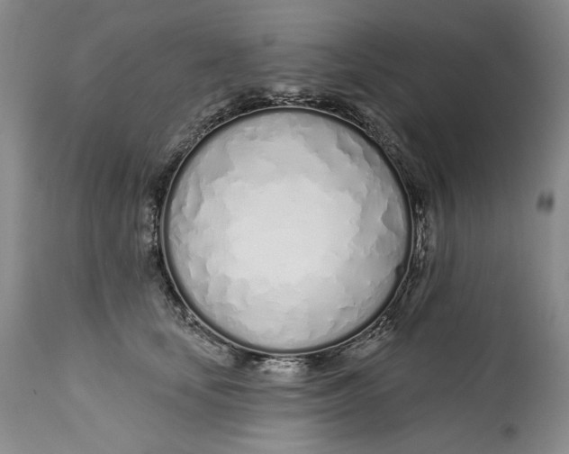 X0000113200659200910011257