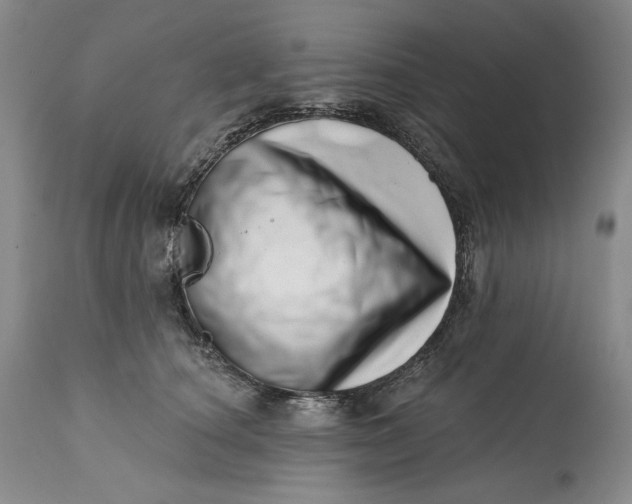 X0000113200660200910011257