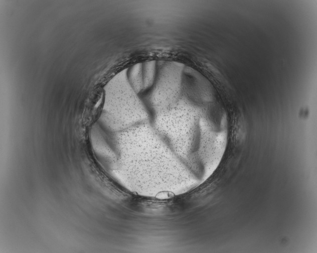 X0000113200661200910011257