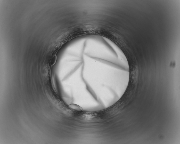 X0000113200662200910011257