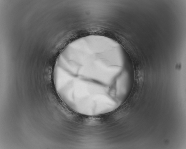 X0000113200664200910011257