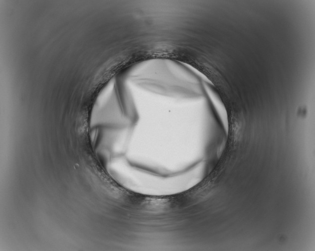 X0000113200665200910011257