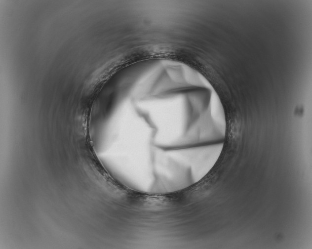 X0000113200666200910011257