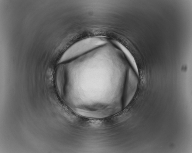 X0000113200667200910011257