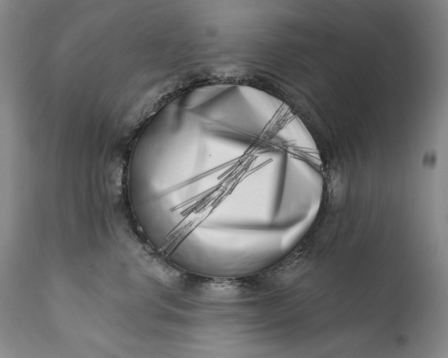 X0000113200668200910011257