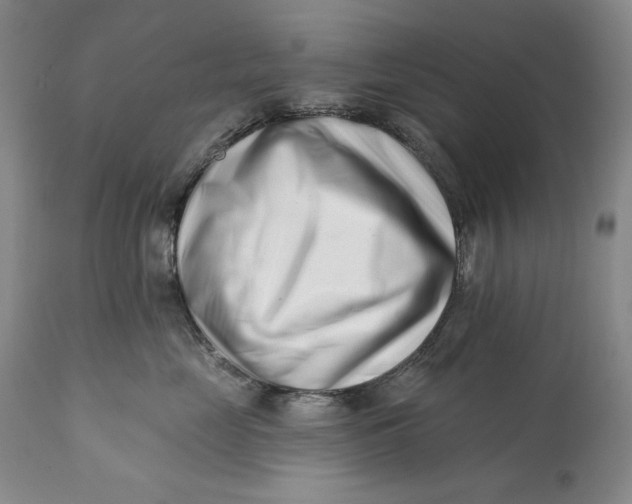 X0000113200669200910011257