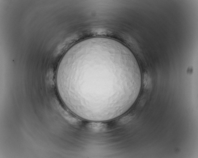 X0000113200670200910011257