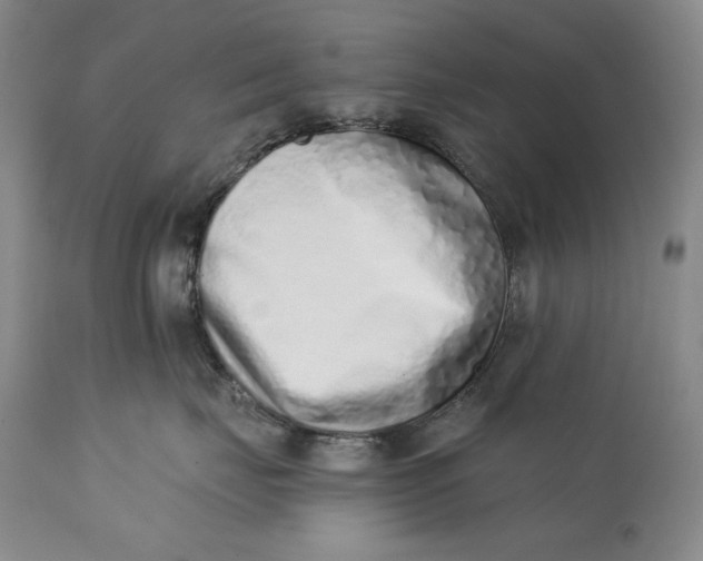 X0000113200671200910011257