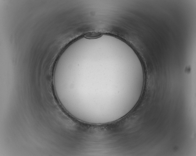 X0000113200673200910011256