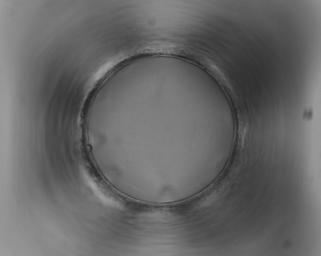 X0000113200674200910011256