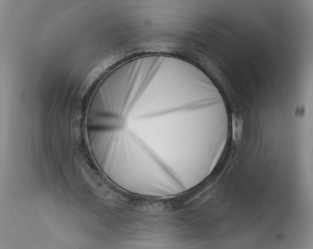 X0000113200675200910011256