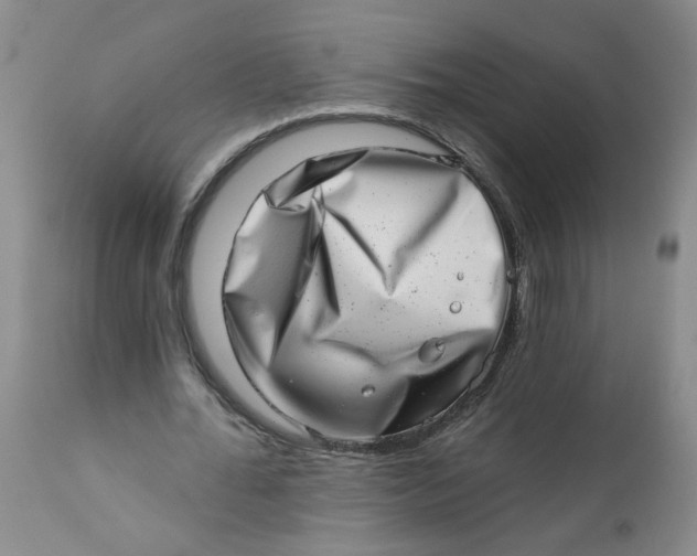 X0000113200676200910011256