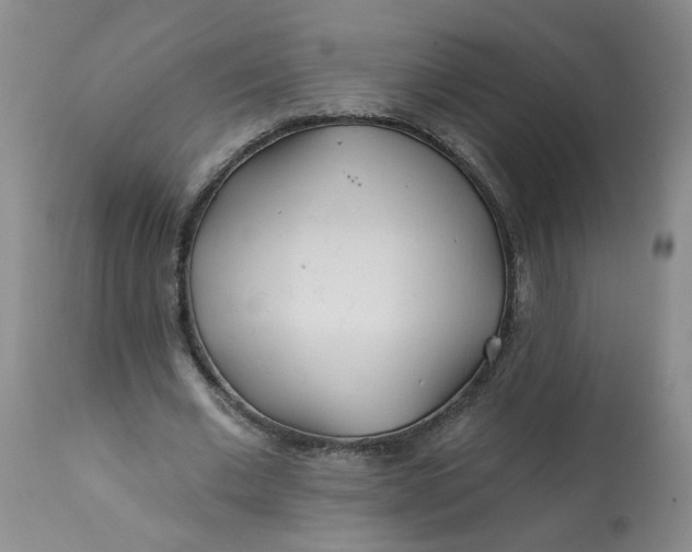 X0000113200677200910011256