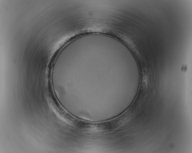 X0000113200678200910011256