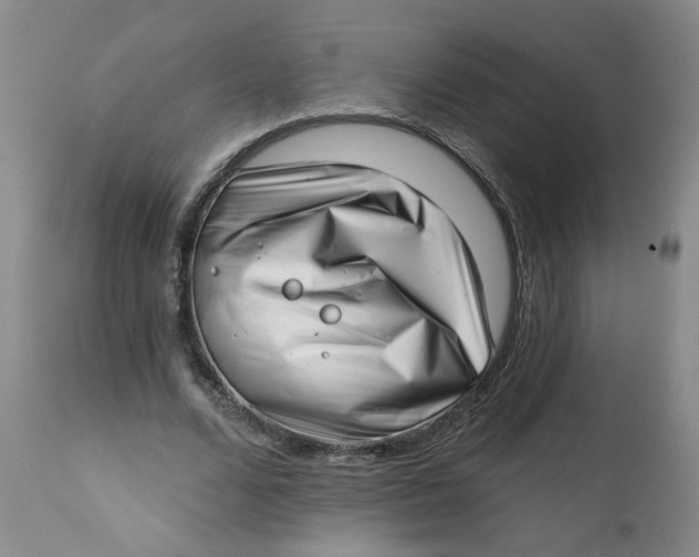 X0000113200680200910011256