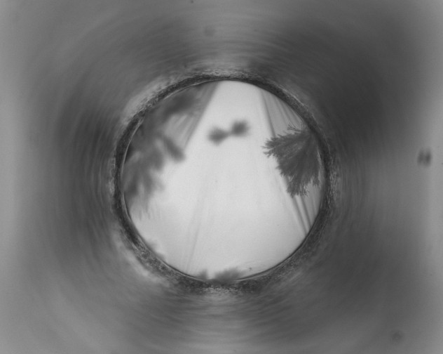 X0000113200682200910011256