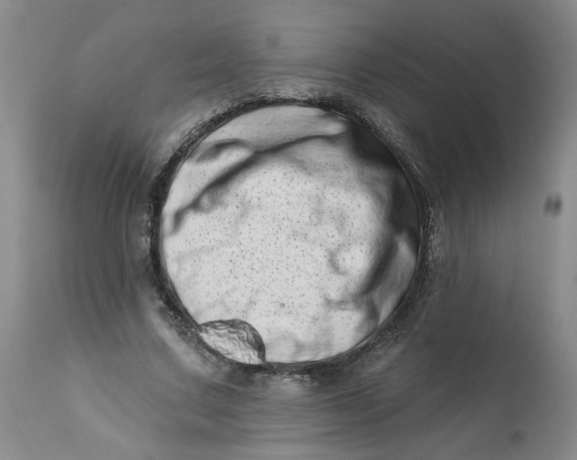 X0000113200683200910011256