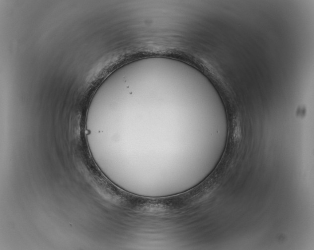 X0000113200685200910011256