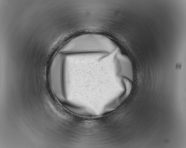 X0000113200686200910011256