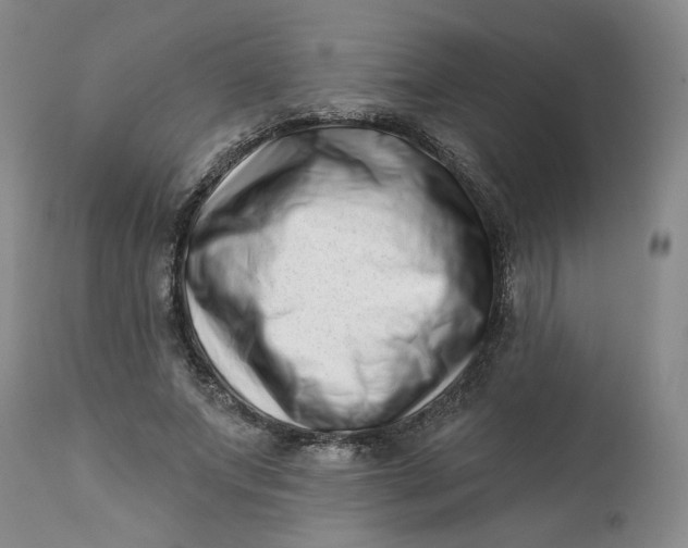 X0000113200687200910011256