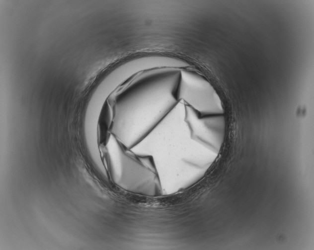 X0000113200688200910011256