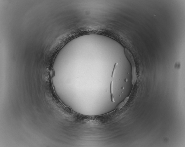 X0000113200689200910011256