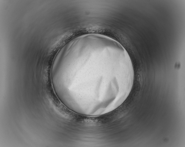 X0000113200690200910011256