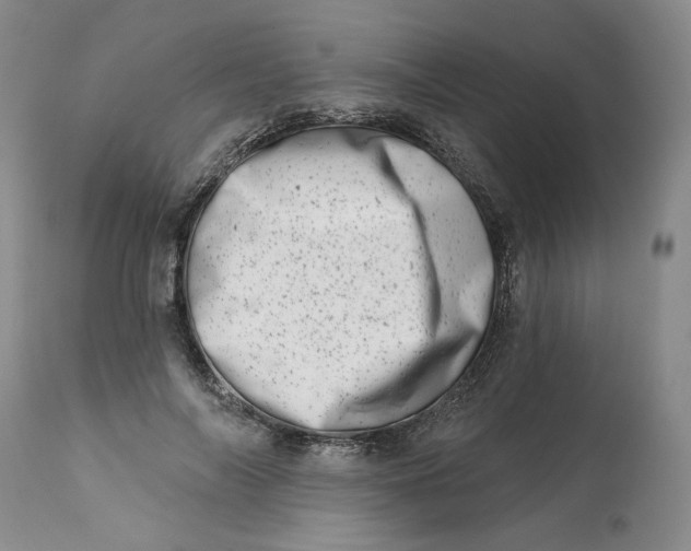 X0000113200694200910011256