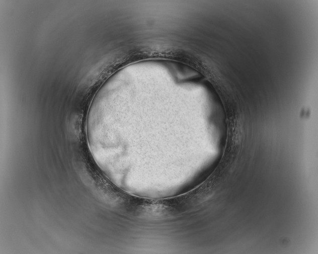 X0000113200695200910011256