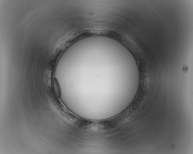 X0000113200696200910011256