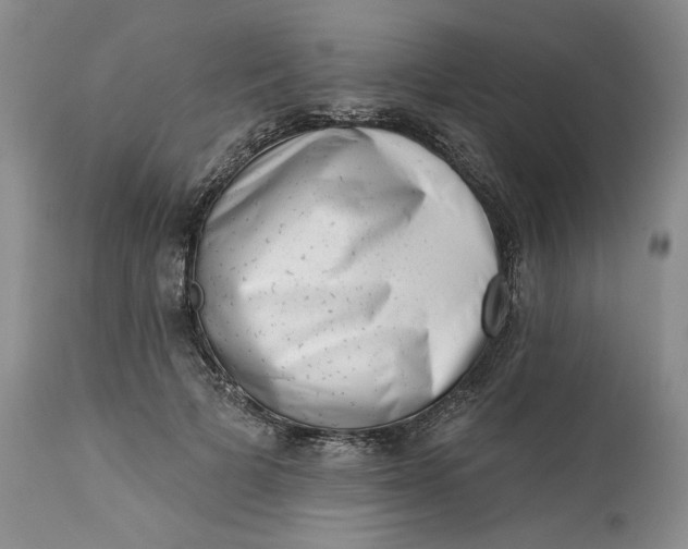 X0000113200697200910011256