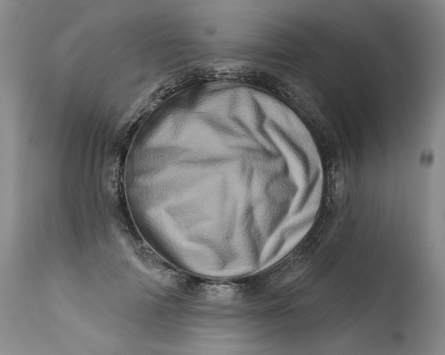 X0000113200698200910011256