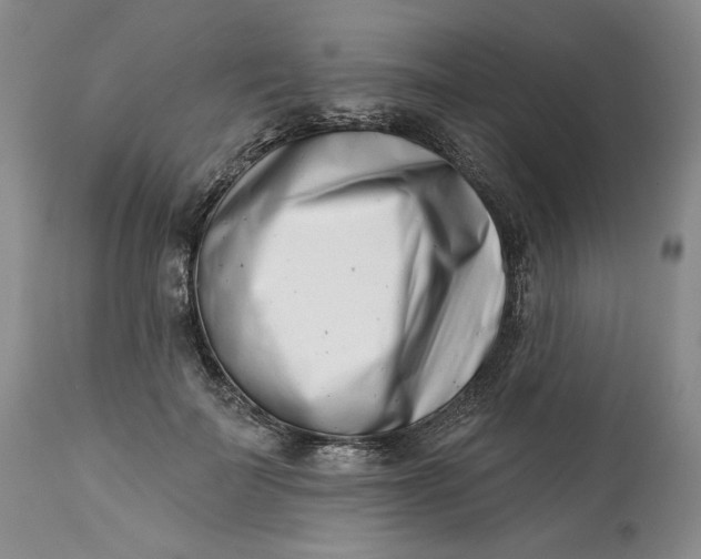 X0000113200699200910011256