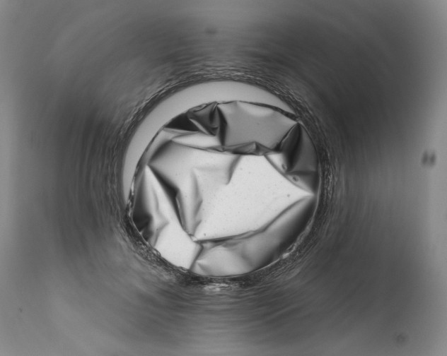 X0000113200700200910011256