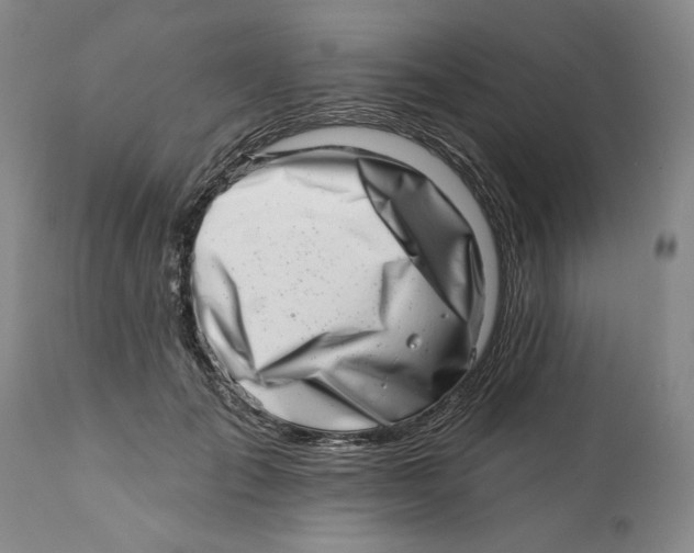 X0000113200701200910011256